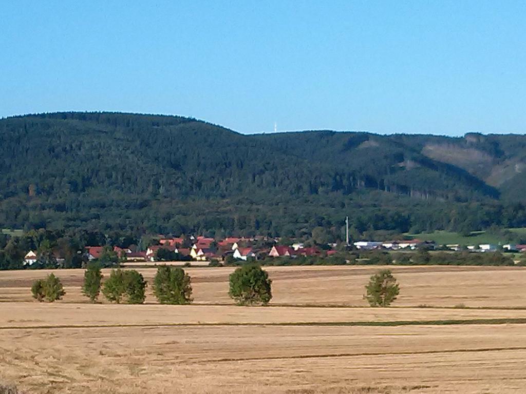 Ferienwohnung Osterbrink Ilsenburg  Exterior foto